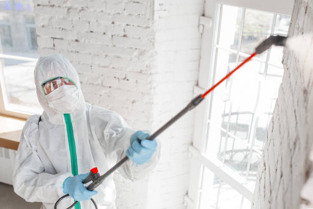 Biohazard Mold Removal in Elm Creek, NE