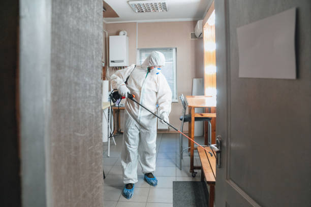 Best Crawl Space Mold Remediation  in Elm Creek, NE