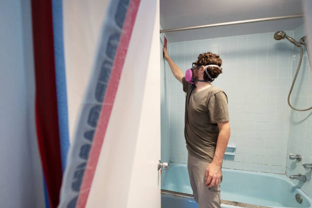 Best Asbestos and Lead Testing During Mold Inspection  in Elm Creek, NE