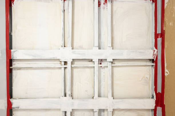 Best Emergency Mold Remediation  in Elm Creek, NE