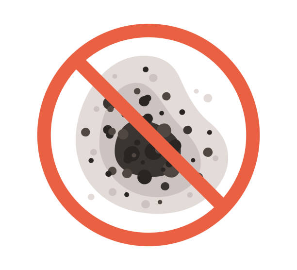 Best Mold Prevention Services  in Elm Creek, NE