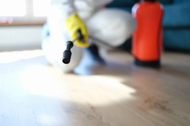 Best Real Estate Mold Inspection  in Elm Creek, NE