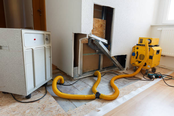 Best Environmental Consulting for Mold Prevention  in Elm Creek, NE