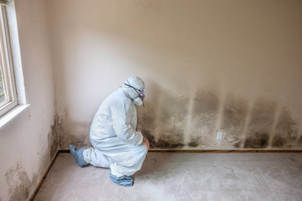 Best Airborne Mold Testing  in Elm Creek, NE